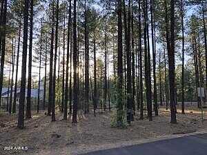 Timber Ridge Lane 1, Pinetop, AZ 85935