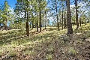 E Del Rae Drive 189, Flagstaff, AZ 86005