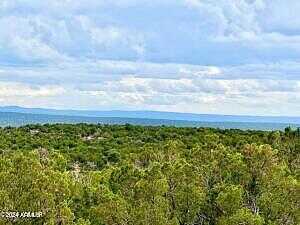 Rebel Yell Road -, Snowflake, AZ 85937