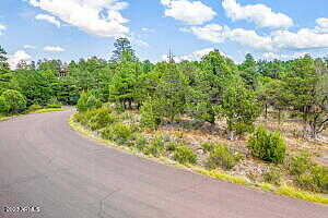 Skyhawk Drive 84Per, Overgaard, AZ 85933