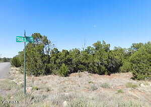 Apache Drive 373, Overgaard, AZ 85933