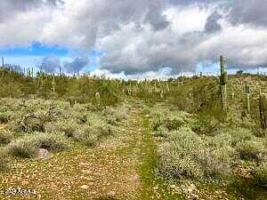 W Roughrider 5 Ac Road -, New River, AZ 85087