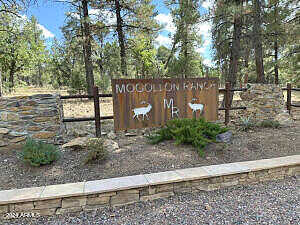 Meadow Wood Drive 125, Happy Jack, AZ 86024