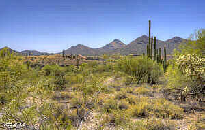 N Spur Cross Road -, Cave Creek, AZ 85331