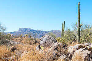 S Pura Vida Way 1, Gold Canyon, AZ 85118