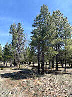 Horseshoe Drive 94, Happy Jack, AZ 86024