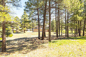 E Hightimber Lane 38, Flagstaff, AZ 86004