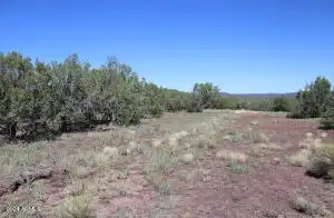 N Al Circle 182, Ash Fork, AZ 86320