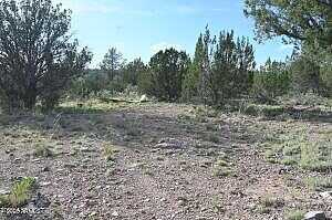 N Calle Ciervo -- 2064, Seligman, AZ 86337