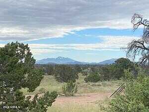 N Muytala Drive ,C, Williams, AZ 86046