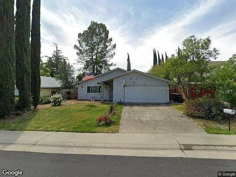 Sugar Maple, CITRUS HEIGHTS, CA 95610