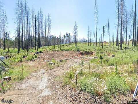 Tyler, GRIZZLY FLATS, CA 95636