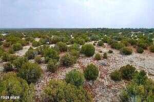 County Road 8072 -- -, Concho, AZ 85924