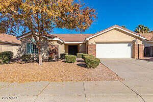 Cooley, GILBERT, AZ 85233