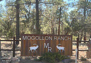 Mogollon Trail 111, Happy Jack, AZ 86024