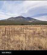 Vista Peak Way 39, Flagstaff, AZ 86001