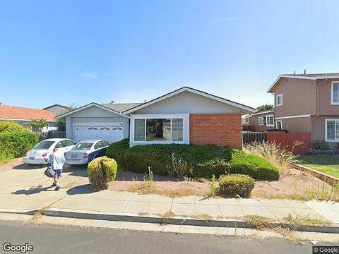 Gull, FOSTER CITY, CA 94404