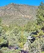 Lot 163 N Portal Drive 163, Pine, AZ 85544