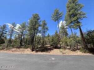 Lot 19 Strawberry Hollow Drive 19, Pine, AZ 85544