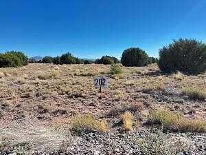 Lot 202 E County Road 3687 Road 202, Concho, AZ 85924