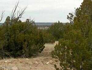 Lot 302 Chevelon Canyon Ranch -- 302, Heber, AZ 85928