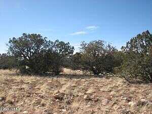 Lot 338 Chevelon Canyon Ranch -- 338, Heber, AZ 85928