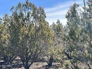 Lot 44 Uphill Trail 44, Vernon, AZ 85940