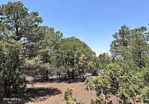 Lot 75 N Dolly Drive 75, Vernon, AZ 85940