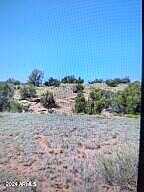 N9330 County Road 90, Concho, AZ 85924