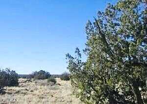 Tbd Chevelon Canyon Ranch Lot 363 -- 363, Heber, AZ 85928