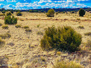 Tbd Hyde Park Rd. 9.92 Acres -- 158, Seligman, AZ 86337