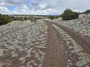 Tbd N8515 Road 97, Concho, AZ 85924