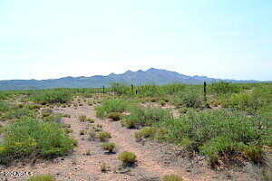 Tbd W Agua Blanca Road -, Elfrida, AZ 85610