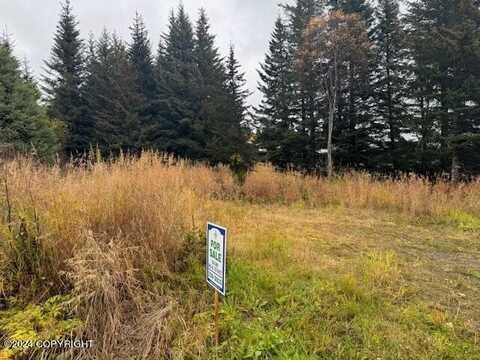 1022 Latham Lane, Homer, AK 99603