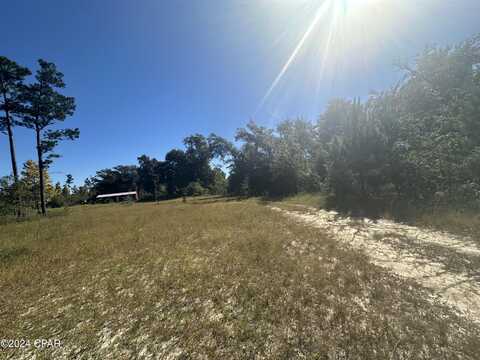 17929 County Road 275, Altha, FL 32421