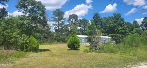 280 Pedro Road, Varnville, SC 29944