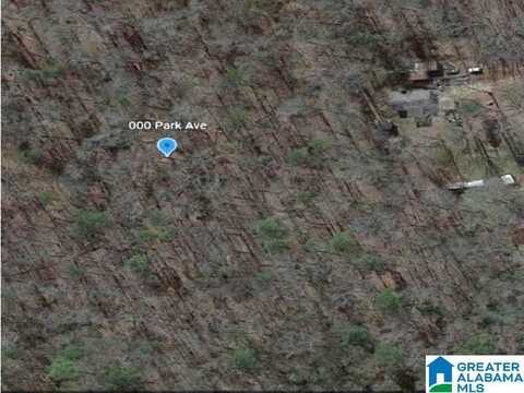 0000 PARK AVENUE, MOODY, AL 35004