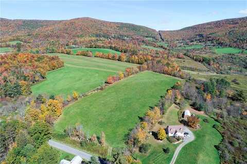 Lot 32 Tower Mountain Road, Stamford, NY 12167