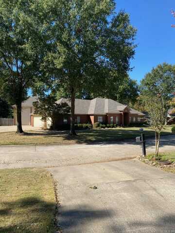 13 Shady Valley Drive Street, Conway, AR 72034