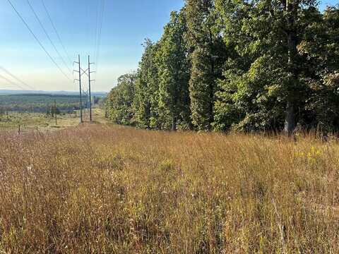 n/a TANNENBAUM ROAD, Drasco, AR 72530