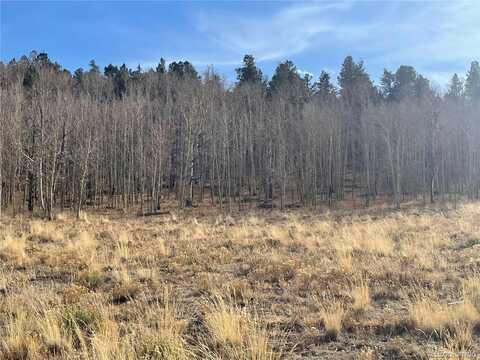 000 Jicarilla Trail, Hartsel, CO 80449