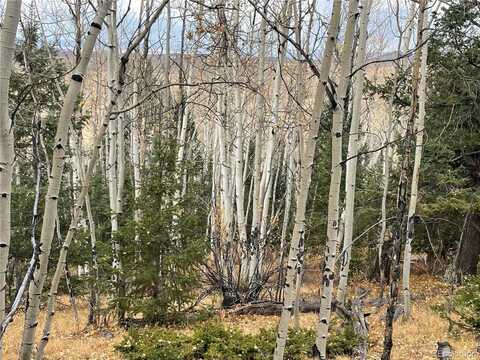 0000 Jicarilla Trail, Hartsel, CO 80449