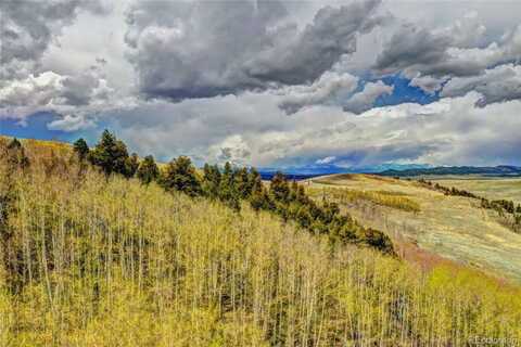 1391 Jicarilla Trail, Hartsel, CO 80449