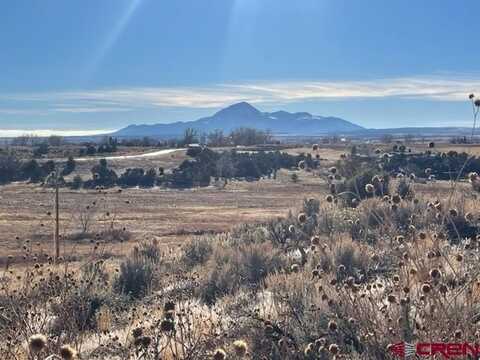 TBD Hwy 184, Lewis, CO 81327