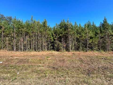 6.106+-ac, Lot 10, Willie Varnum Rd, Cottonwood, AL 36320