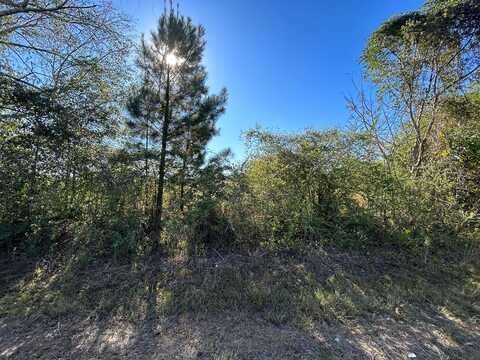 4.892+-ac, Lot 2, Willie Varnum Rd, Cottonwood, AL 36320