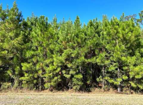 4.588+-ac, Lot 7, D Hodge Rd, Cottonwood, AL 36320