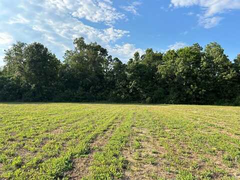 5.296+-ac, Lot 1, Willie Varnum Rd, Cottonwood, AL 36320