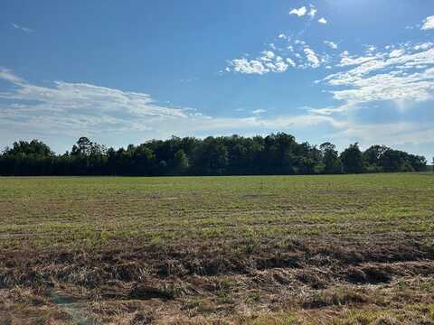 7.198+-ac, Lot 6, Willie Varnum Rd, Cottonwood, AL 36320