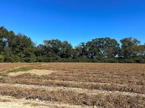 10.779 +-ac, Lot 12, Willie Varnum Rd/D Hodge Rd, Cottonwood, AL 36320